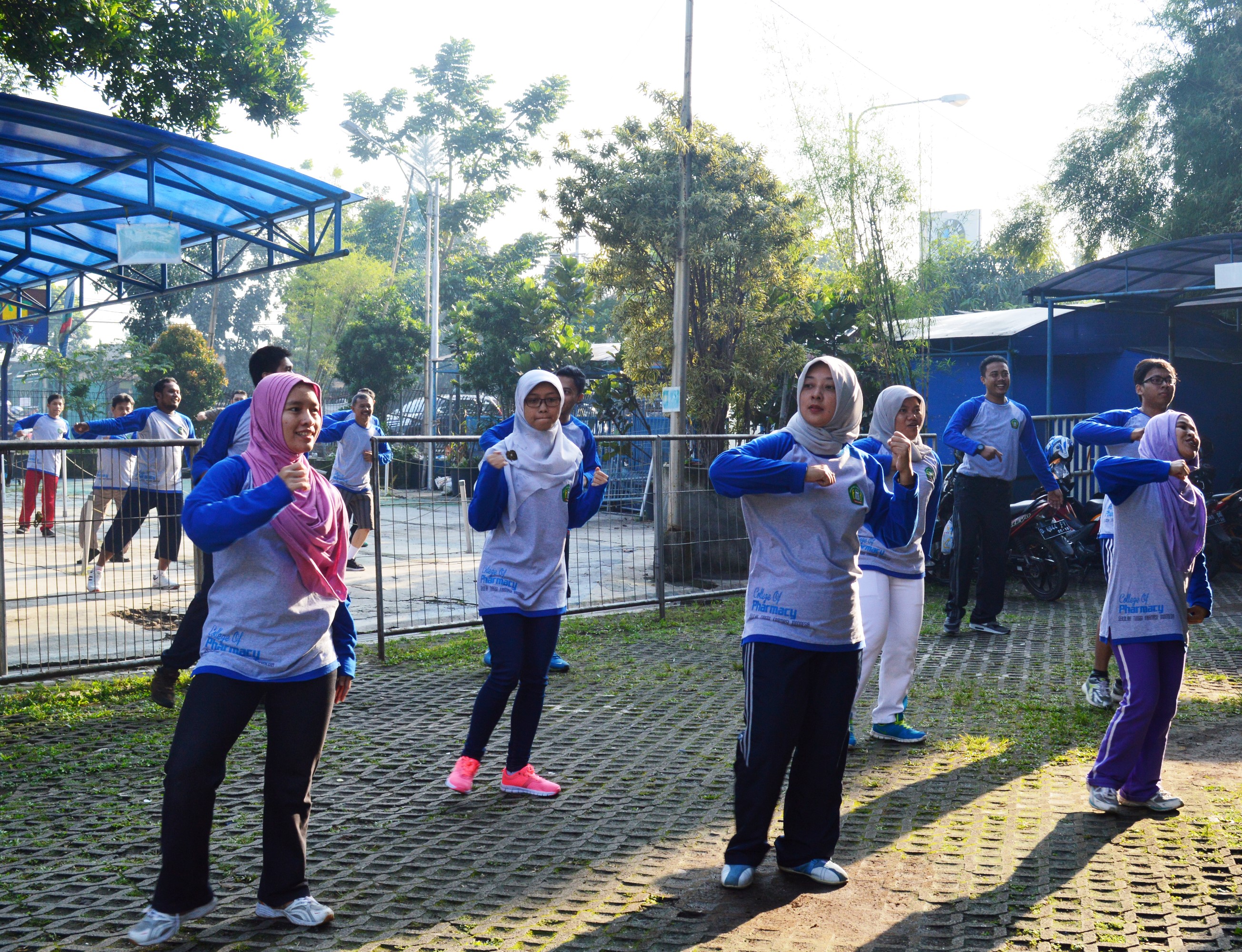 Aerobik : Seneng Iya, Sehat Iya, Mau?